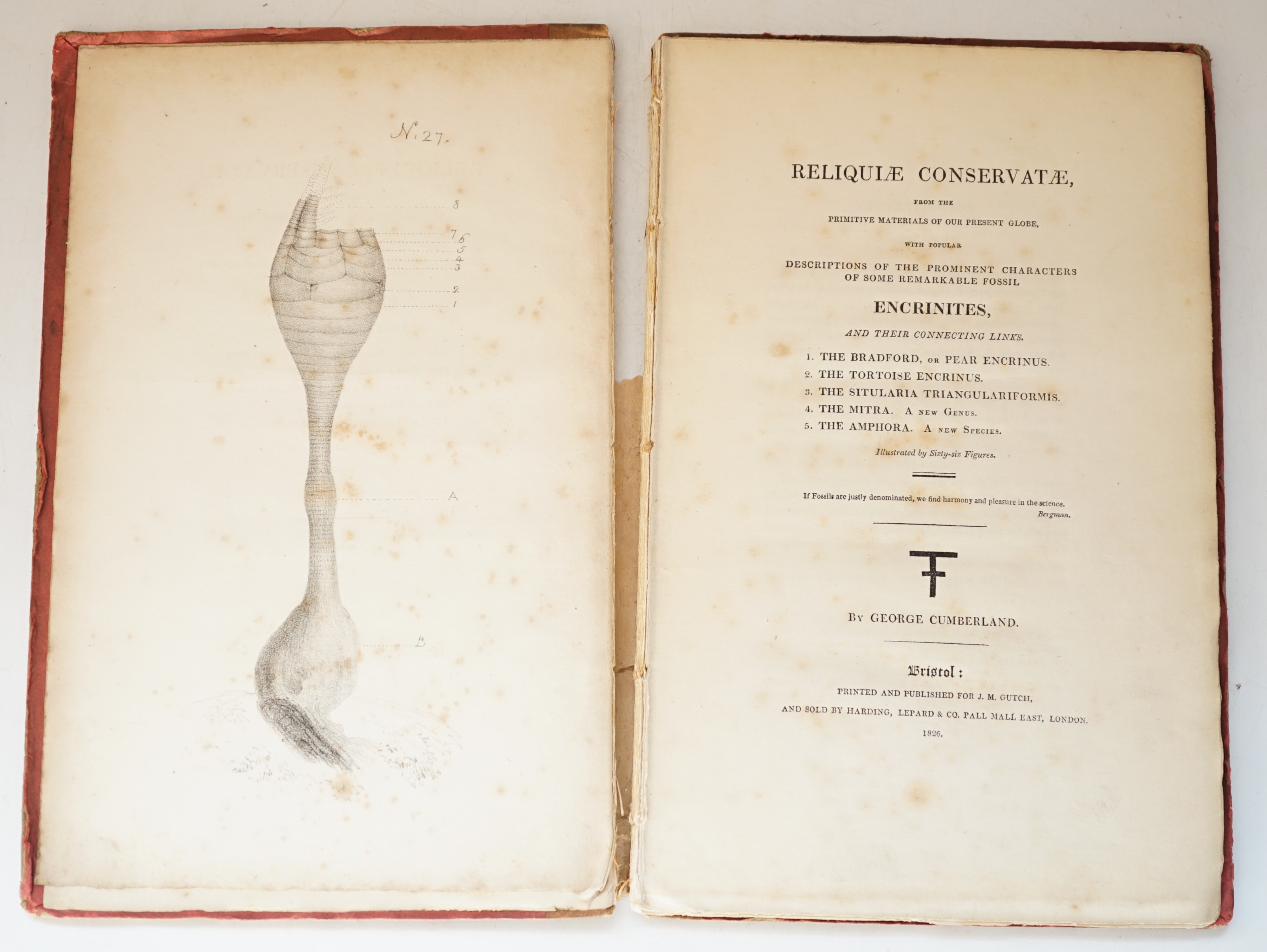 Cumberland, George - Reliquiae Conservatae, from the Primitive Materials of our Present Globe, with Popular Descriptions of the Prominent Characters of some remarkable Fossil Encrinites…, First Edition, one of 150 copies